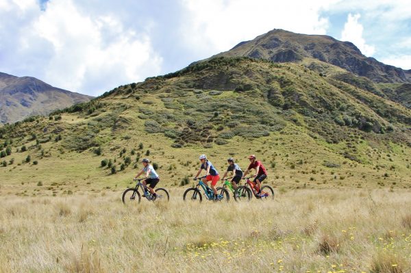 things to do in wanaka in summer
