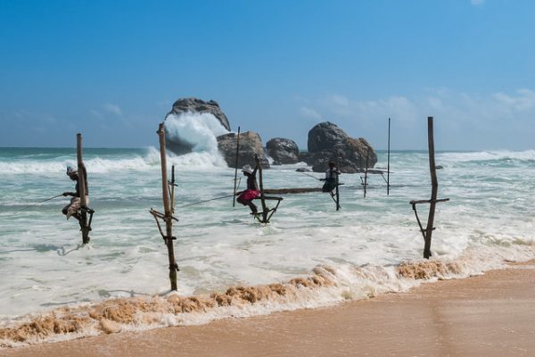 Stilt fishing Sri Lanka